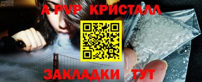 PSILOCYBIN Камышлов