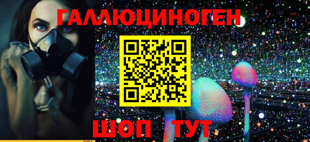 Псилоцибиновые грибы Psilocybe  Вход с VPN  Ливны 
